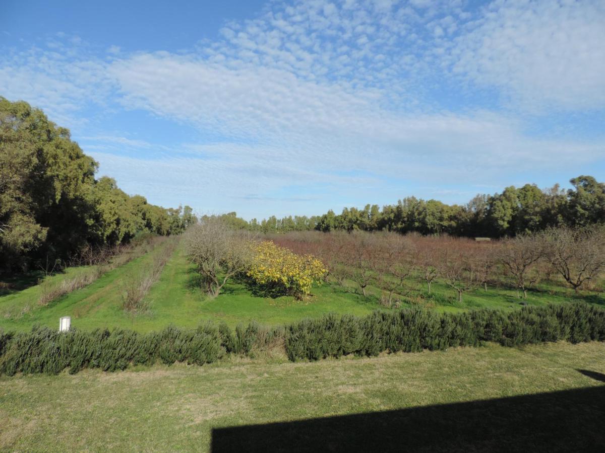 Agriturismo I Doni Del Mandorlo Alghero Zewnętrze zdjęcie